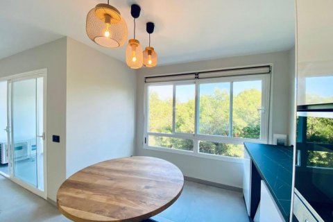 Penthäuser zum Verkauf Sol De Mallorca, Mallorca, Spanien 2 Schlafzimmer, 85 m2 Nr. 108956 - Foto 3