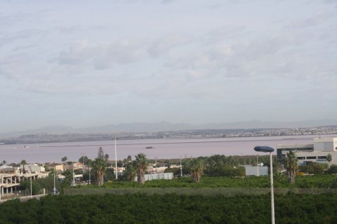 Townhouse for sale Torrevieja, Alicante, Spain 2 bedrooms, 225 sq.m. No. 114154 - photo 26
