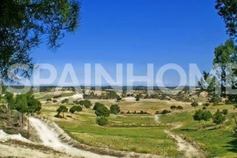 Villa for sale Pilar de la Horadada, Alicante, Spain 3 bedrooms, 191 sq.m. No. 53212 - photo 9