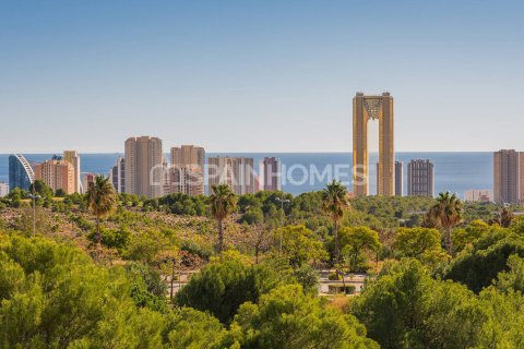 Lägenhet till salu i Benidorm, Alicante, Spanien 3 sovrum, 176 kvm. Nr. 52430 - foto 28