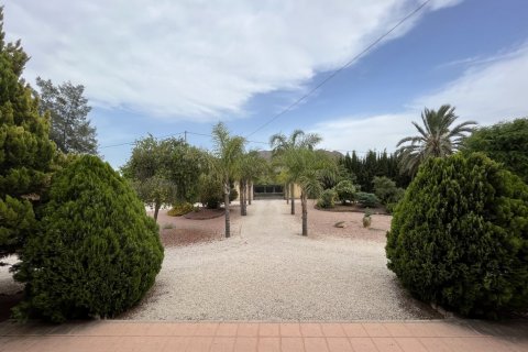 Villa à vendre Cox, Alicante, Espagne, 7 chambres,  No. 116351 - photo 8