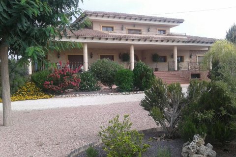 Villa à vendre Cox, Alicante, Espagne, 7 chambres,  No. 116351 - photo 14