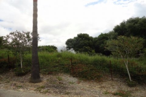 Parcela en venta Sotogrande, Cádiz, España No. 93242 - foto 1