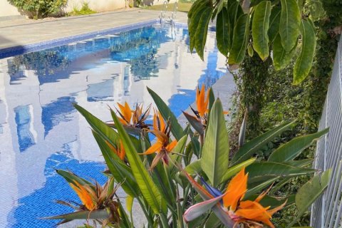 Duplex zum Verkauf Torrevieja, Alicante, Spanien 2 Schlafzimmer, 79 m2 Nr. 119068 - Foto 19