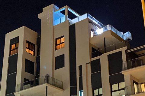 Продажа квартиры в Гуардамар-дель-Сегура, Аликанте, Испания 3 спальни, 109м2 №119066 - фото 28