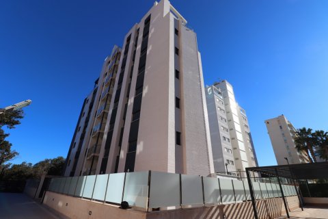 Продажа квартиры в Гуардамар-дель-Сегура, Аликанте, Испания 3 спальни, 109м2 №119066 - фото 27
