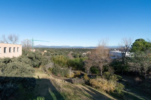 Villa pārdošanā Ciudalcampo, Madrid, Spānijā 5 istabas, 784 m2 Nr. 105680 - attēls 21