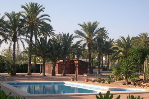 Villa en venta Elche, Alicante, España 6 dormitorios, 500 m2 No. 115023 - foto 4