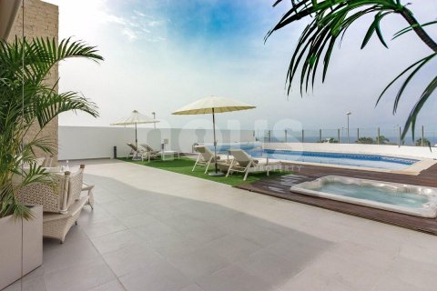 Villa à vendre Adeje, Tenerife, Espagne, 3 chambres, 250 m2 No. 109824 - photo 8
