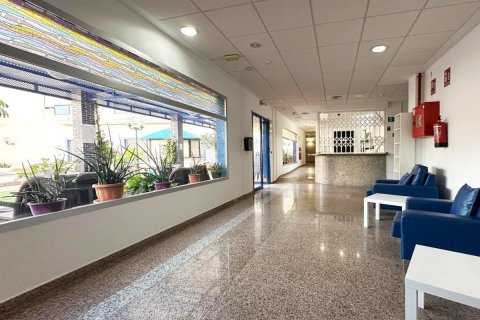 Penthäuser zum Verkauf Alicante, Spanien 2 Schlafzimmer, 66 m2 Nr. 112856 - Foto 10