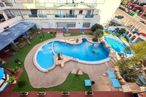 Penthäuser zum Verkauf Alicante, Spanien 2 Schlafzimmer, 66 m2 Nr. 112856 - Foto 23