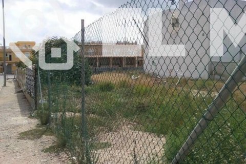 Land plot for sale Catral, Alicante, Spain No. 112853 - photo 3