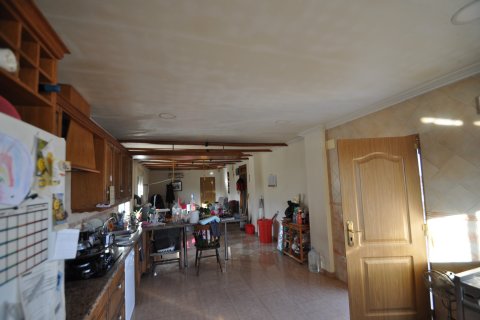 Продажа виллы в Аспе, Аликанте, Испания 5 спален, 500м2 №117629 - фото 7