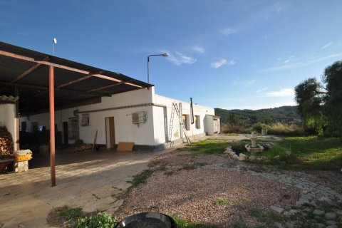Продажа виллы в Аспе, Аликанте, Испания 5 спален, 500м2 №117629 - фото 16