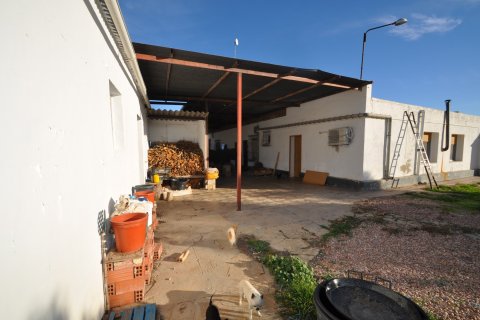 Продажа виллы в Аспе, Аликанте, Испания 5 спален, 500м2 №117629 - фото 19