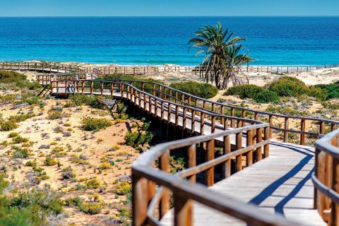 Apartament Alicante, Hiszpania 3 sypialnie, 95 mkw. nr 112165 – zdjęcie 19