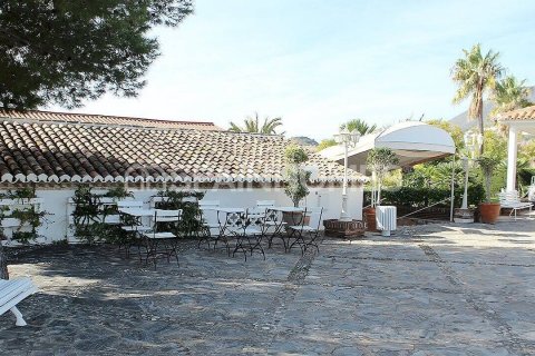 Commercial property for sale Benalmadena, Malaga, Spain 11000 sq.m. No. 48221 - photo 13