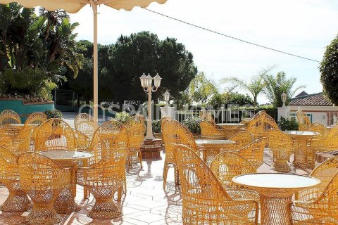 Commercial property for sale Benalmadena, Malaga, Spain 11000 sq.m. No. 48221 - photo 20