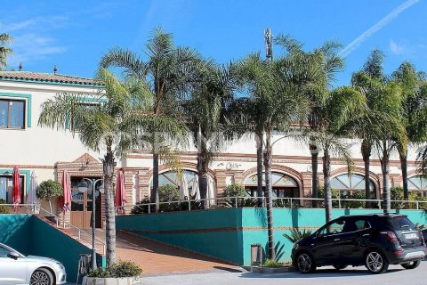 Commercial property for sale Benalmadena, Malaga, Spain 11000 sq.m. No. 48221 - photo 3