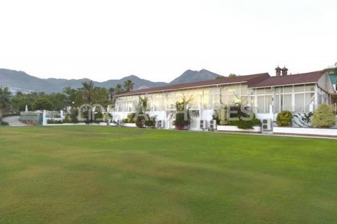 Commercial property for sale Benalmadena, Malaga, Spain 11000 sq.m. No. 48221 - photo 5