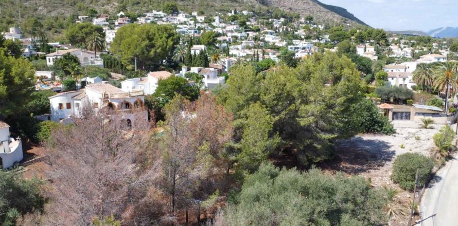 Terreno Denia, Alicante, Spagna N° 113072