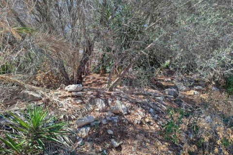 Terreno in vendita Denia, Alicante, Spagna N° 113072 - foto 8