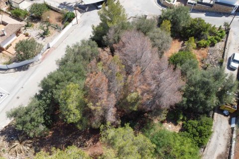 Terreno in vendita Denia, Alicante, Spagna N° 113072 - foto 6