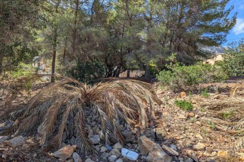 Terreno in vendita Denia, Alicante, Spagna N° 113072 - foto 10