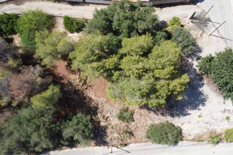 Terreno in vendita Denia, Alicante, Spagna N° 113072 - foto 4