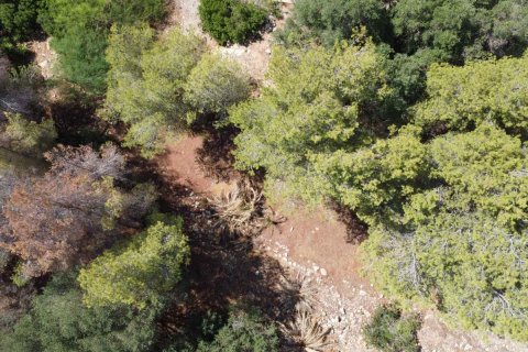 Terreno in vendita Denia, Alicante, Spagna N° 113072 - foto 3