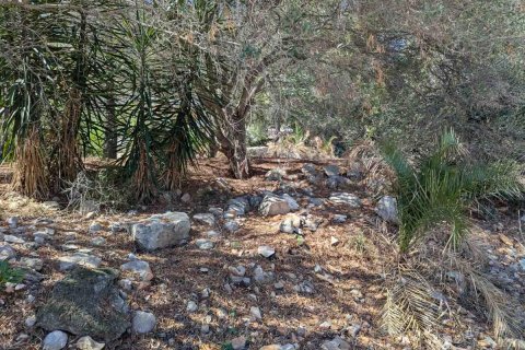 Terreno in vendita Denia, Alicante, Spagna N° 113072 - foto 9