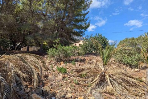 Terreno in vendita Denia, Alicante, Spagna N° 113072 - foto 11
