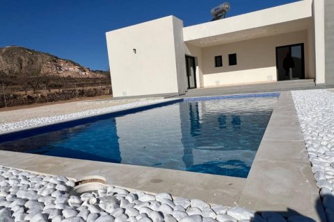 Villa for sale Hondon De Las Nieves, Alicante, Spain 3 bedrooms, 168 sq.m. No. 111332 - photo 11