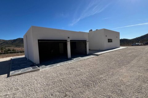 Villa for sale Hondon De Las Nieves, Alicante, Spain 3 bedrooms, 168 sq.m. No. 111332 - photo 28