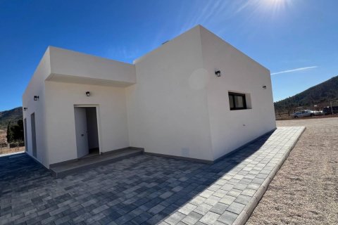 Villa for sale Hondon De Las Nieves, Alicante, Spain 3 bedrooms, 168 sq.m. No. 111332 - photo 26