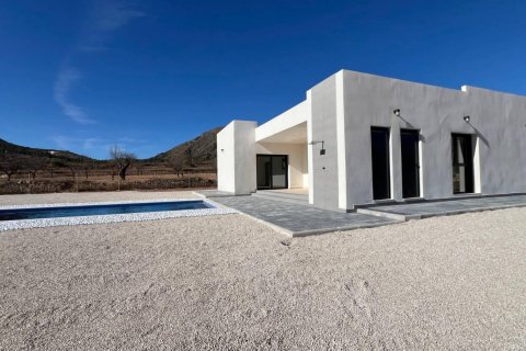 Villa for sale Hondon De Las Nieves, Alicante, Spain 3 bedrooms, 168 sq.m. No. 111332 - photo 12