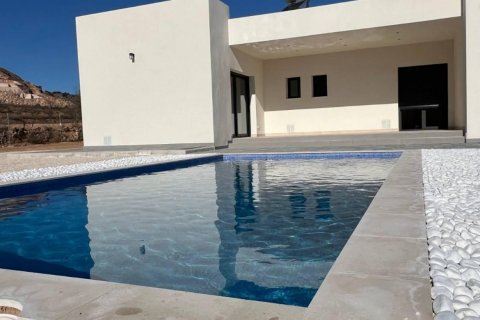 Villa for sale Hondon De Las Nieves, Alicante, Spain 3 bedrooms, 168 sq.m. No. 111332 - photo 10
