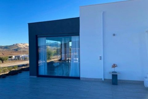 Villa for sale Hondon De Las Nieves, Alicante, Spain 3 bedrooms, 168 sq.m. No. 111332 - photo 8
