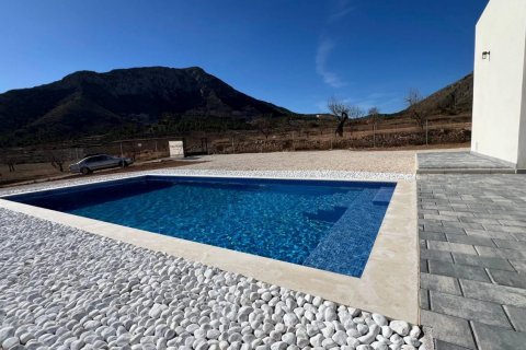 Villa for sale Hondon De Las Nieves, Alicante, Spain 3 bedrooms, 168 sq.m. No. 111332 - photo 13