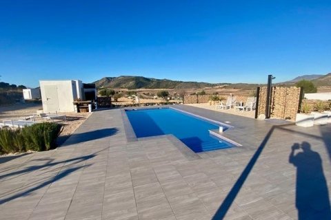 Villa for sale Hondon De Las Nieves, Alicante, Spain 3 bedrooms, 168 sq.m. No. 111332 - photo 7