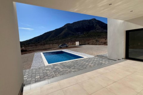 Villa for sale Hondon De Las Nieves, Alicante, Spain 3 bedrooms, 168 sq.m. No. 111332 - photo 14