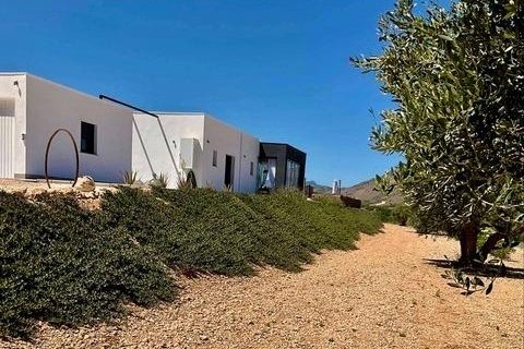 Villa for sale Hondon De Las Nieves, Alicante, Spain 3 bedrooms, 168 sq.m. No. 111332 - photo 30
