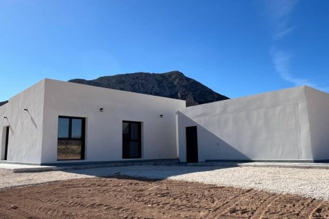 Villa for sale Hondon De Las Nieves, Alicante, Spain 3 bedrooms, 168 sq.m. No. 111332 - photo 29