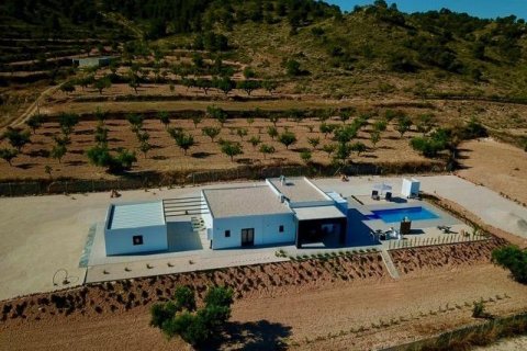 Villa for sale Hondon De Las Nieves, Alicante, Spain 3 bedrooms, 168 sq.m. No. 111332 - photo 3