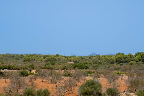 Villa till salu Sa Rapita, Mallorca, Spanien 5 sovrum, 456 kvm. Nr. 54055 - foto 11