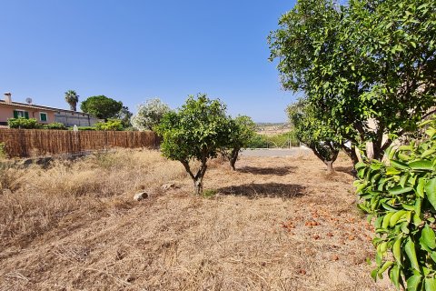 Parcela en venta Santa Margalida, Mallorca, España 325 m2 No. 111814 - foto 4