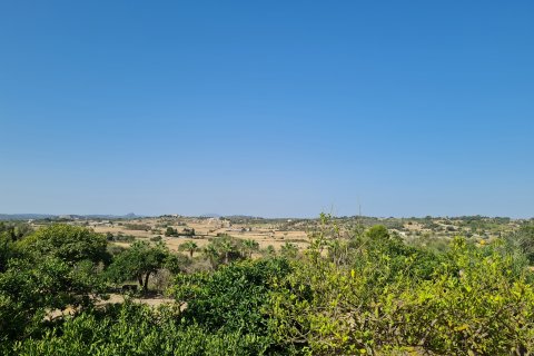 Parcela en venta Santa Margalida, Mallorca, España 325 m2 No. 111814 - foto 3