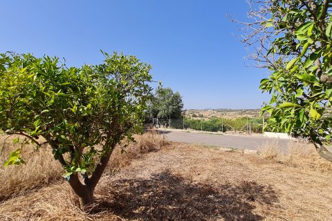 Parcela en venta Santa Margalida, Mallorca, España 325 m2 No. 111814 - foto 1