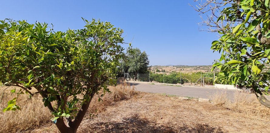 Parcela Santa Margalida, Mallorca, España 325 m2 No. 111814