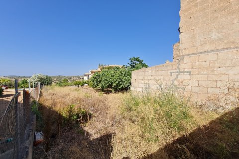 Parcela en venta Santa Margalida, Mallorca, España 325 m2 No. 111814 - foto 5